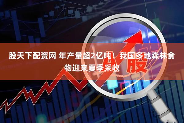 股天下配资网 年产量超2亿吨！我国多地森林食物迎来夏季采收